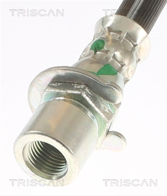 FURTUN FRANA
