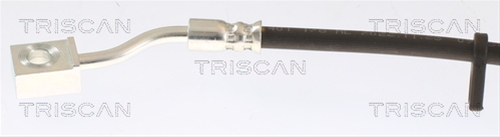 FURTUN FRANA