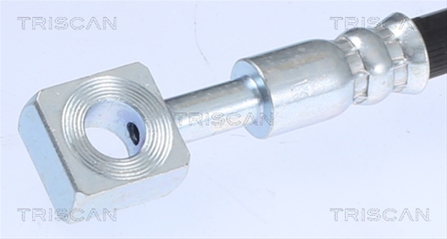 FURTUN FRANA