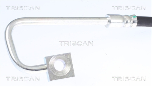 FURTUN FRANA