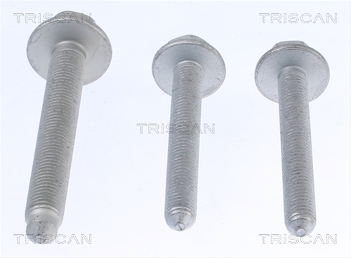 Imagine pentru produsul „SET REPARATIE SUSPENSIE"