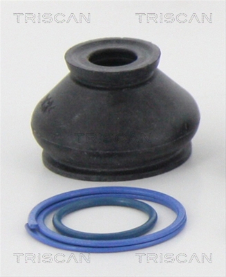 ANSAMBLU BURDUF, DIRECTIE