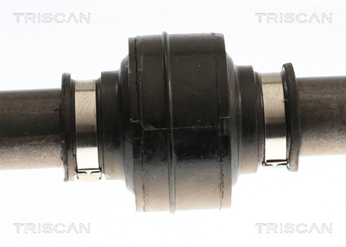 PLANETARA TRISCAN CSNBB