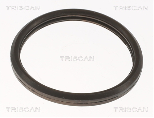 TERMOSTAT,LICHID RACIRE