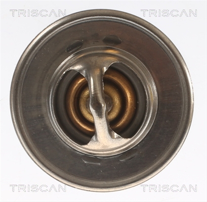 TERMOSTAT,LICHID RACIRE