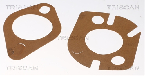 TERMOSTAT,LICHID RACIRE
