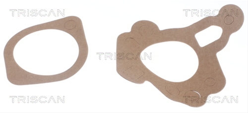 TERMOSTAT,LICHID RACIRE