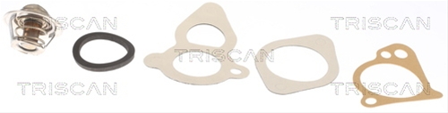 TERMOSTAT,LICHID RACIRE