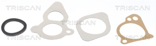 TERMOSTAT,LICHID RACIRE