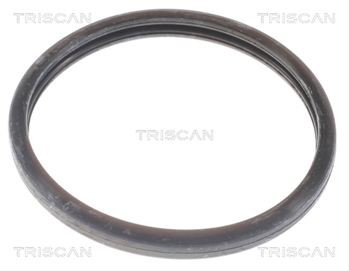 TERMOSTAT,LICHID RACIRE