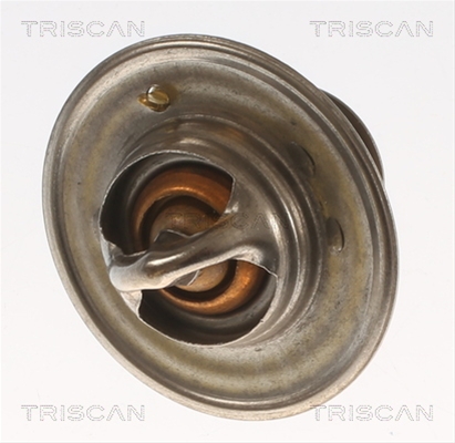 TERMOSTAT,LICHID RACIRE