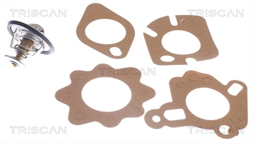 Imagine pentru produsul „TERMOSTAT,LICHID RACIRE"