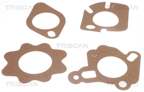TERMOSTAT,LICHID RACIRE
