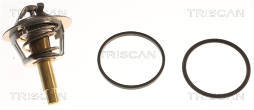 Imagine pentru produsul „TERMOSTAT,LICHID RACIRE"