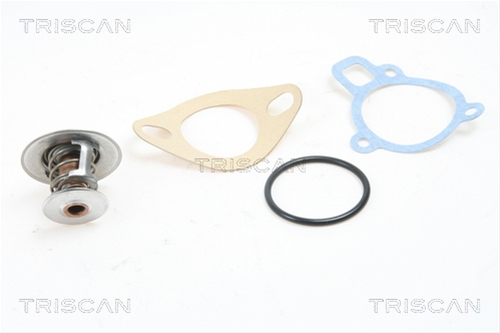 TERMOSTAT,LICHID RACIRE