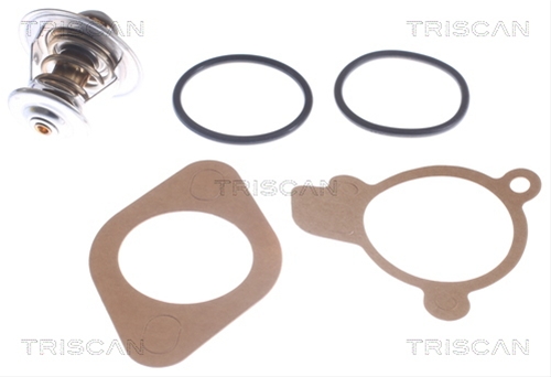 Imagine pentru produsul „TERMOSTAT,LICHID RACIRE"