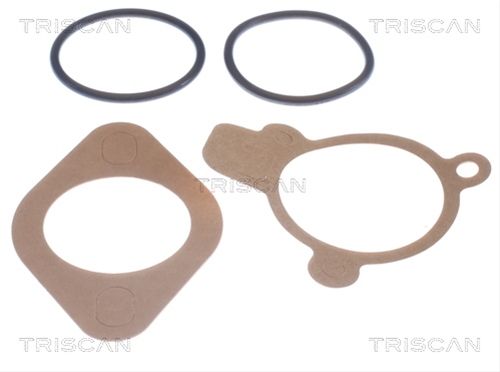 TERMOSTAT,LICHID RACIRE