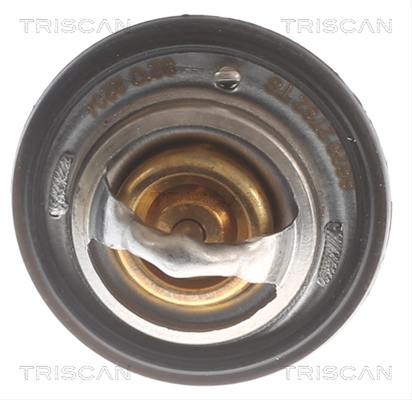 TERMOSTAT,LICHID RACIRE