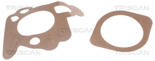 TERMOSTAT,LICHID RACIRE