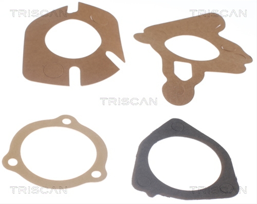 TERMOSTAT,LICHID RACIRE