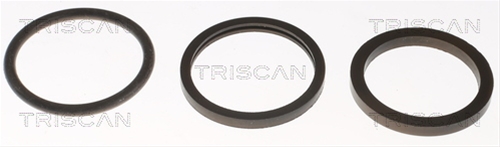TERMOSTAT,LICHID RACIRE