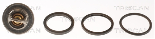 TERMOSTAT,LICHID RACIRE