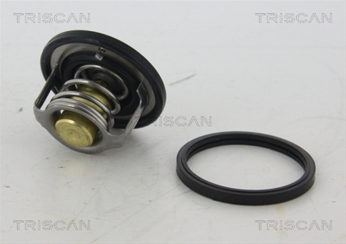 TERMOSTAT LICHID RACIRE