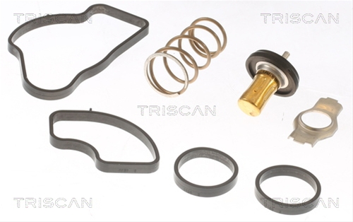 TERMOSTAT LICHID RACIRE