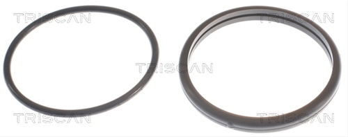 TERMOSTAT,LICHID RACIRE