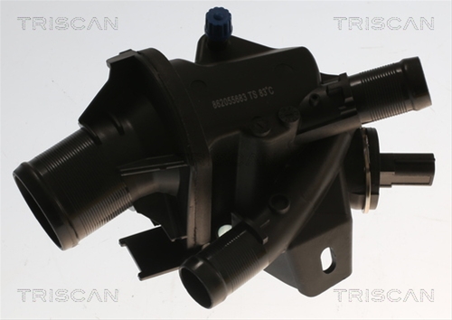 TERMOSTAT LICHID RACIRE