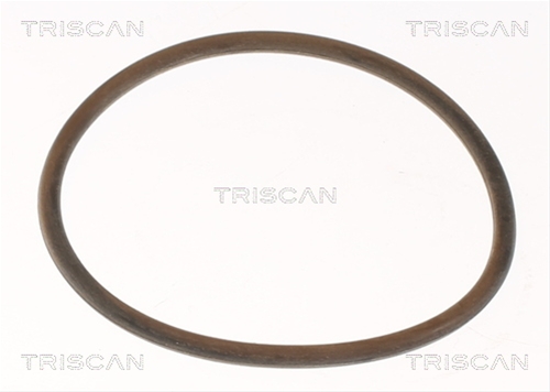 TERMOSTAT,LICHID RACIRE