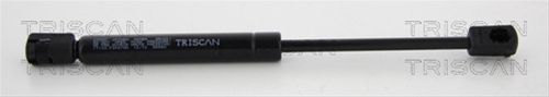 AMORTIZOR CAPOTA