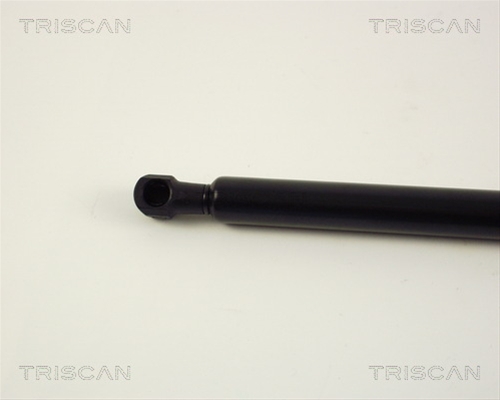 AMORTIZOR PORTBAGAJ