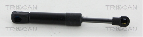 AMORTIZOR HAION/CAPOTA