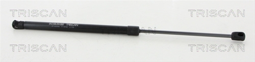 AMORTIZOR HAION/CAPOTA