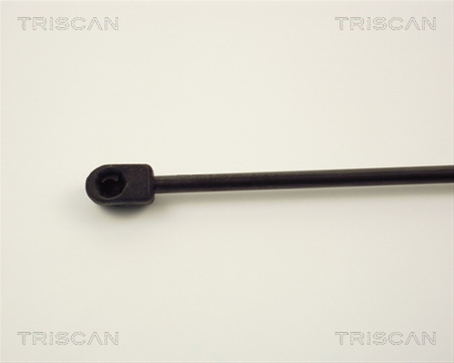 AMORTIZOR PORTBAGAJ