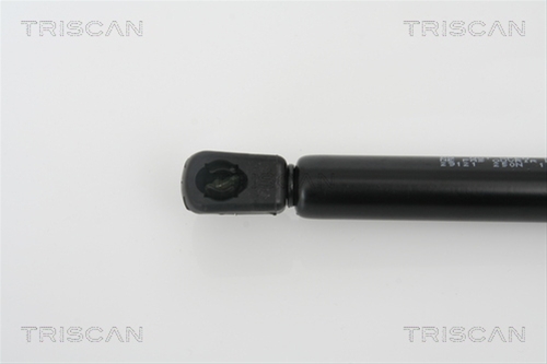 AMORTIZOR CAPOTA