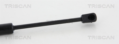 AMORTIZOR CAPOTA