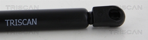AMORTIZOR CAPOTA
