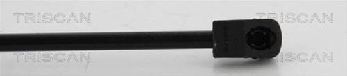 AMORTIZOR CAPOTA