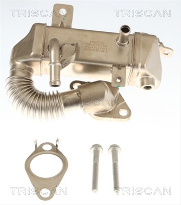 RADIATOR RECIRCULARE GAZE DE ESAPAMENT TRISCAN CSNBB