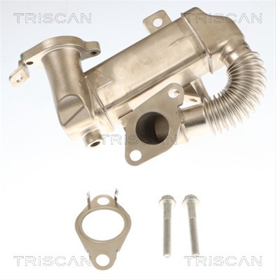 RADIATOR RECIRCULARE GAZE DE ESAPAMENT TRISCAN CSNBB