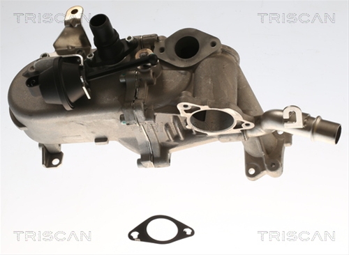 RACITOR EGR