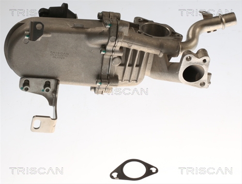 RACITOR EGR