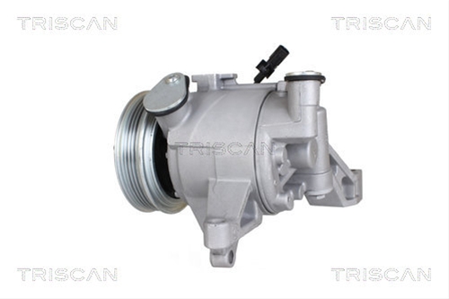 COMPRESOR CLIMATIZARE TRISCAN CSNBB