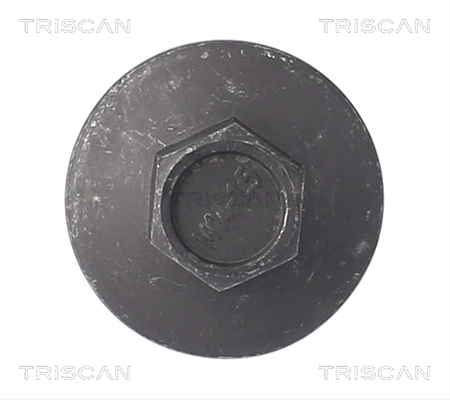 SURUB DE GOLIRE BAIA DE ULEI TRISCAN CSNBB