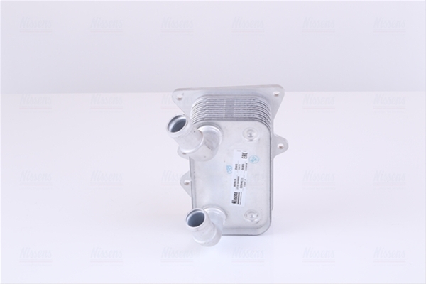 BUJIE INCANDESCENTA  CZ262