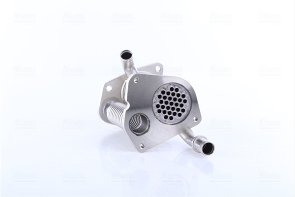 RACITOR EGR