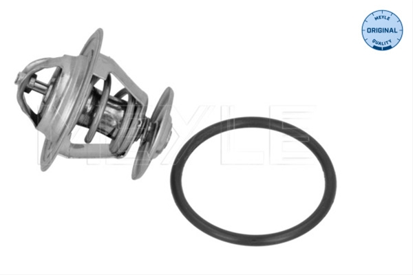 Imagine pentru produsul „TERMOSTAT,LICHID RACIRE"