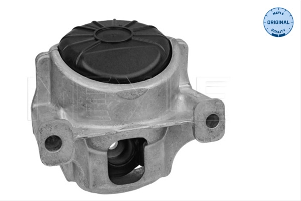 Imagine pentru produsul „SUPORT MOTOR"